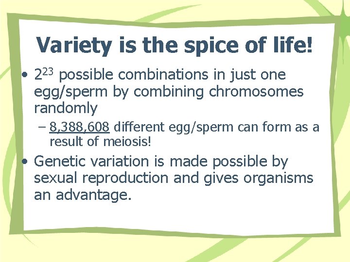 Variety is the spice of life! • 223 possible combinations in just one egg/sperm