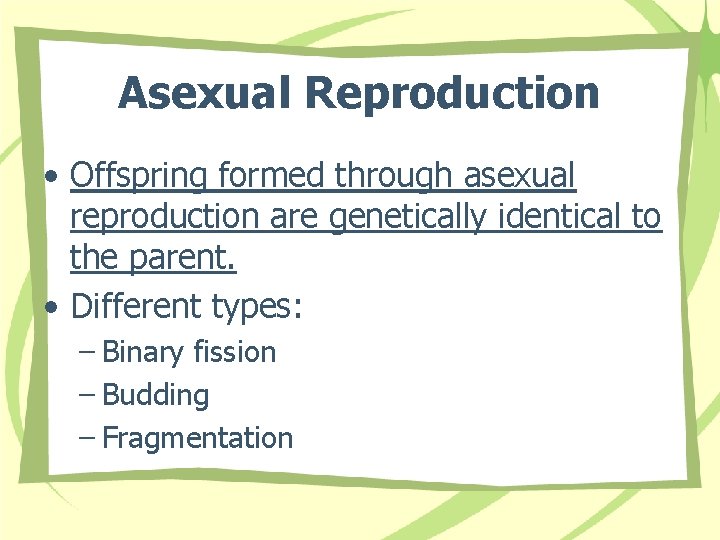 Asexual Reproduction • Offspring formed through asexual reproduction are genetically identical to the parent.