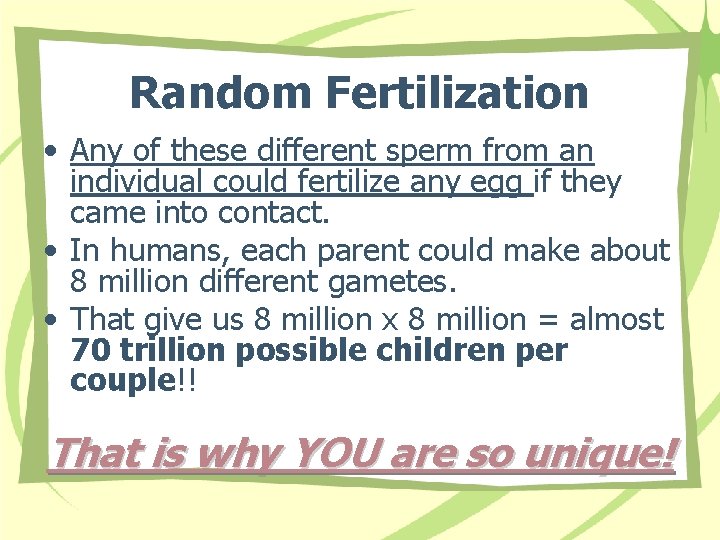 Random Fertilization • Any of these different sperm from an individual could fertilize any