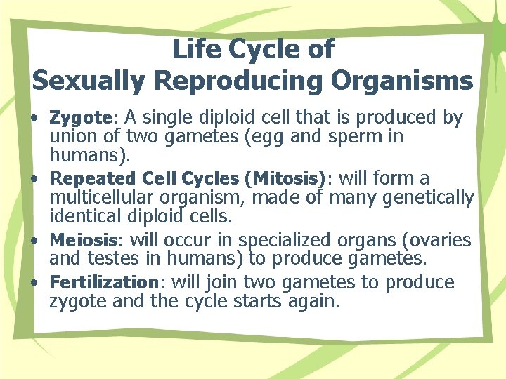 Life Cycle of Sexually Reproducing Organisms • Zygote: A single diploid cell that is