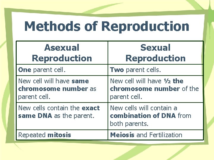 Methods of Reproduction Asexual Reproduction Sexual Reproduction One parent cell. Two parent cells. New