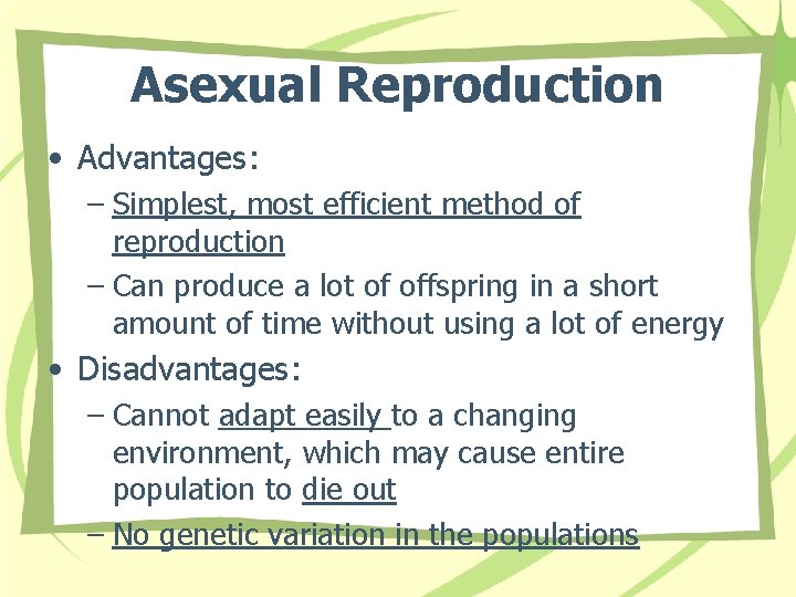 Asexual Reproduction • Advantages: – Simplest, most efficient method of reproduction – Can produce