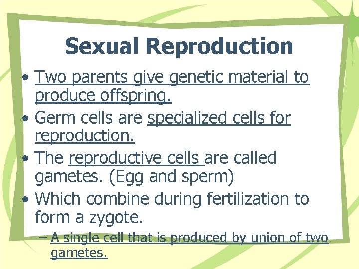 Sexual Reproduction • Two parents give genetic material to produce offspring. • Germ cells