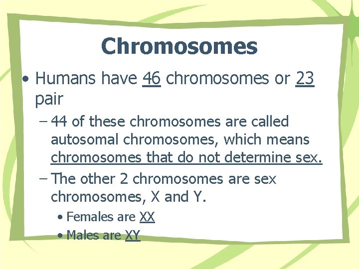 Chromosomes • Humans have 46 chromosomes or 23 pair – 44 of these chromosomes