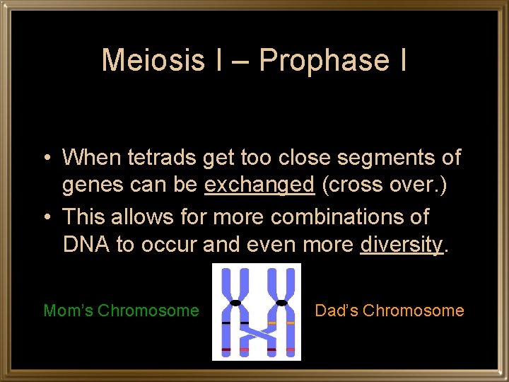 Meiosis I – Prophase I • When tetrads get too close segments of genes