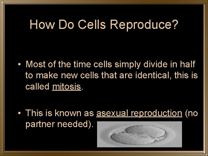 How Do Cells Reproduce? • Most of the time cells simply divide in half