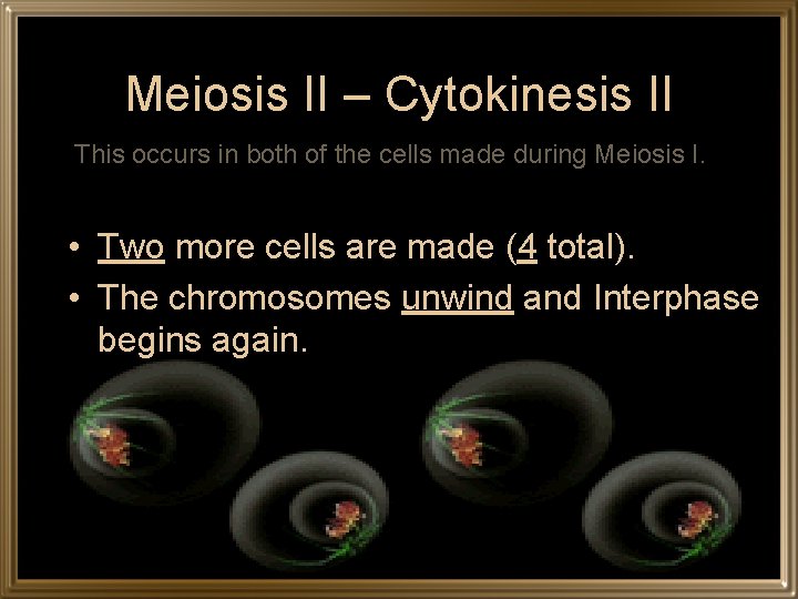 Meiosis II – Cytokinesis II This occurs in both of the cells made during