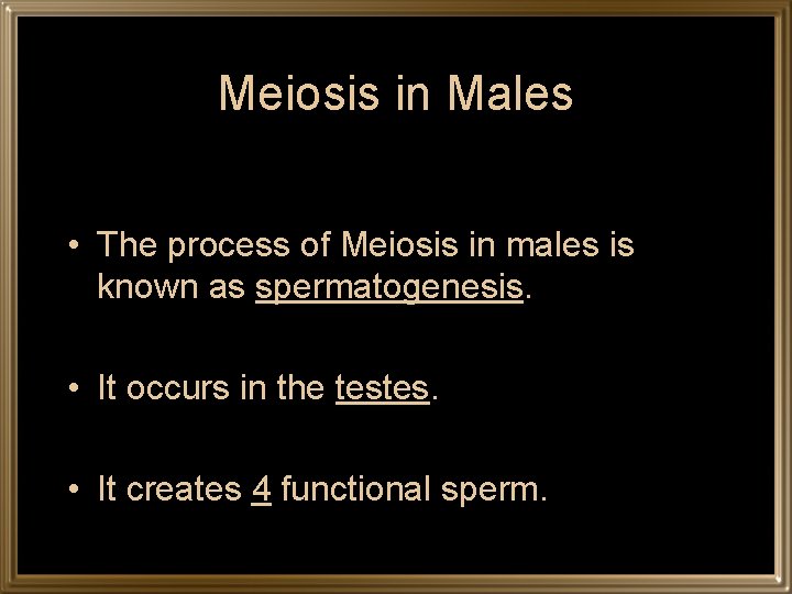 Meiosis in Males • The process of Meiosis in males is known as spermatogenesis.
