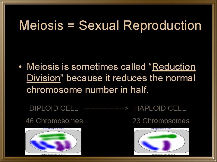 Meiosis = Sexual Reproduction • Meiosis is sometimes called “Reduction Division” because it reduces