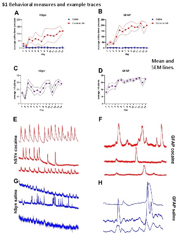 S 1 Behavioral measures and example traces Mean and SEM lines. 