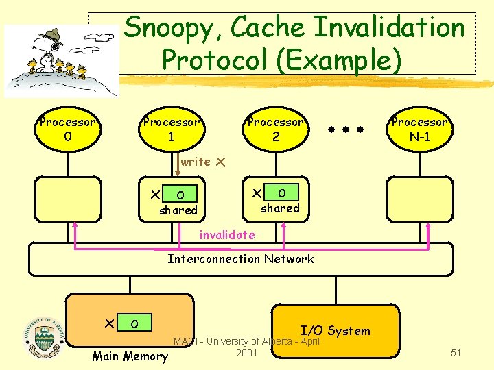 Snoopy, Cache Invalidation Protocol (Example) Processor 0 Processor 1 write x o shared Processor