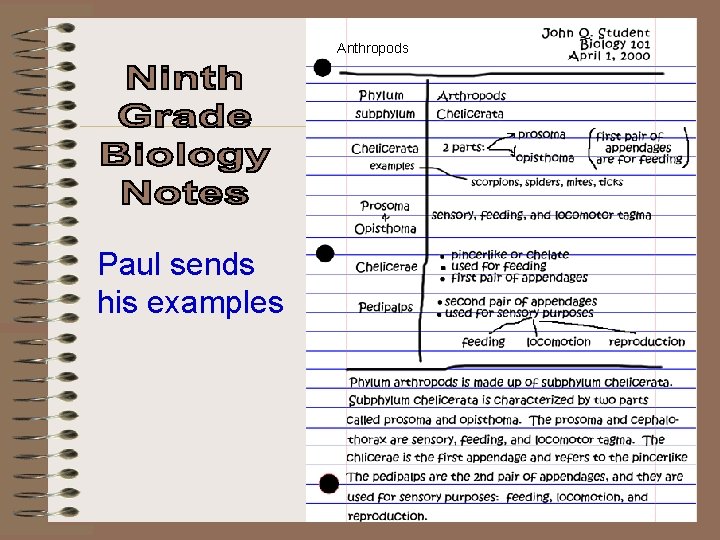 Anthropods Paul sends his examples 