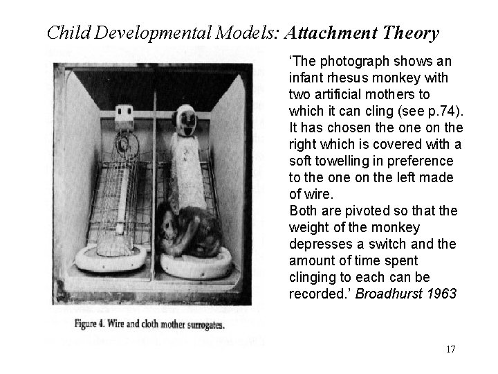 Child Developmental Models: Attachment Theory ‘The photograph shows an infant rhesus monkey with two