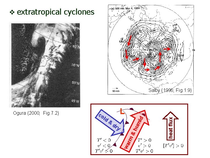 v extratropical cyclones Salby (1996; Fig. 1. 9) dr y heat flux & um