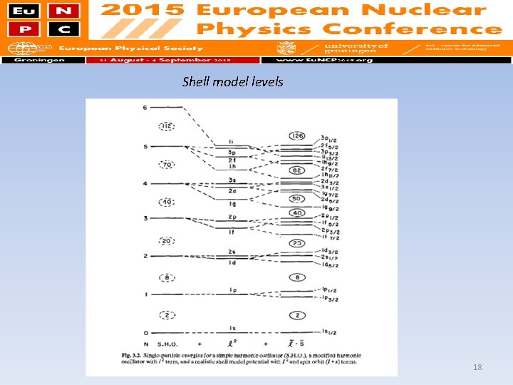 Shell model levels 18 