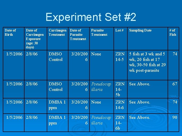 Experiment Set #2 Date of Birth Date of Carcinogen Exposure (age: 30 days) Carcinogen