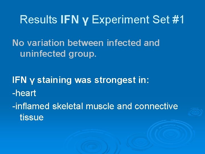 Results IFN γ Experiment Set #1 No variation between infected and uninfected group. IFN
