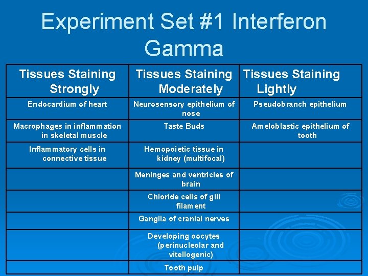 Experiment Set #1 Interferon Gamma Tissues Staining Strongly Tissues Staining Moderately Lightly Endocardium of