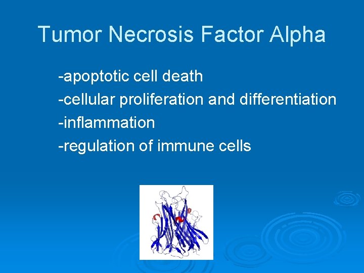 Tumor Necrosis Factor Alpha -apoptotic cell death -cellular proliferation and differentiation -inflammation -regulation of