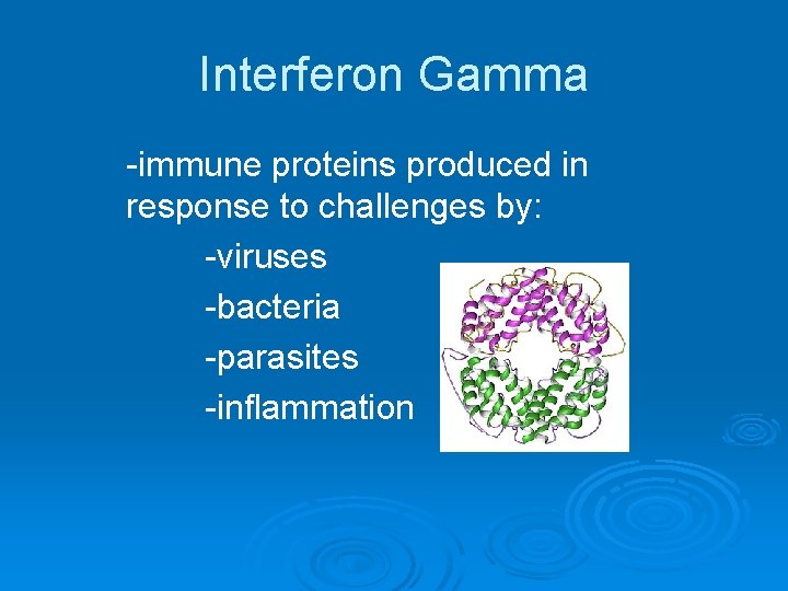 Interferon Gamma -immune proteins produced in response to challenges by: -viruses -bacteria -parasites -inflammation