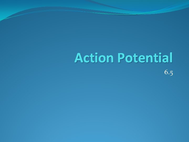 Action Potential 6. 5 Action Potential 6. 5