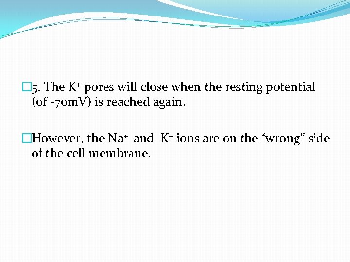 � 5. The K+ pores will close when the resting potential (of -70 m. � 5. The K+ pores will close when the resting potential (of -70 m.