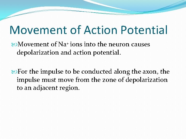 Movement of Action Potential Movement of Na+ ions into the neuron causes depolarization and Movement of Action Potential Movement of Na+ ions into the neuron causes depolarization and