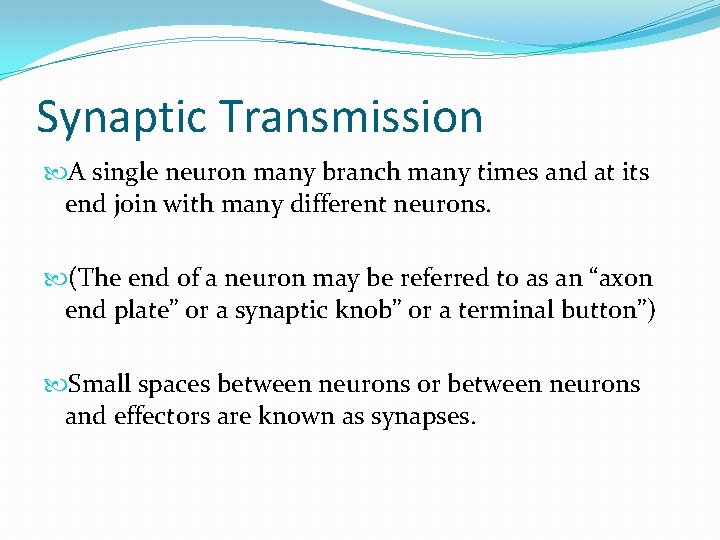 Synaptic Transmission A single neuron many branch many times and at its end join Synaptic Transmission A single neuron many branch many times and at its end join
