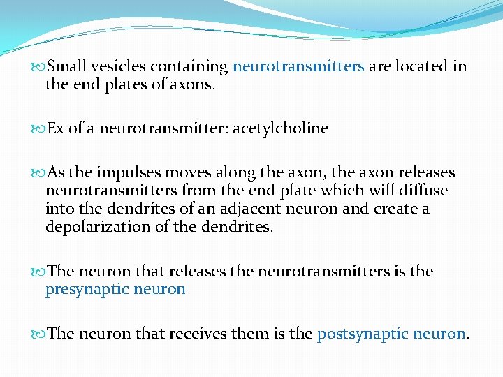 Small vesicles containing neurotransmitters are located in the end plates of axons. Ex Small vesicles containing neurotransmitters are located in the end plates of axons. Ex