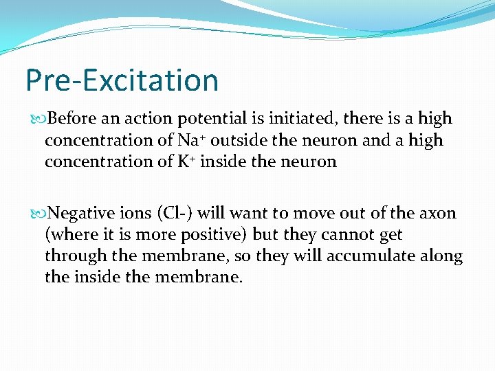 Pre-Excitation Before an action potential is initiated, there is a high concentration of Na+ Pre-Excitation Before an action potential is initiated, there is a high concentration of Na+