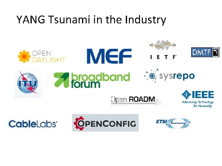 YANG Tsunami in the Industry YANG Tsunami in the Industry