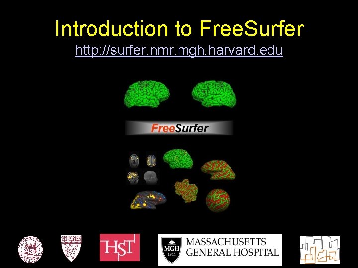 Introduction to Free. Surfer http: //surfer. nmr. mgh. harvard. edu 