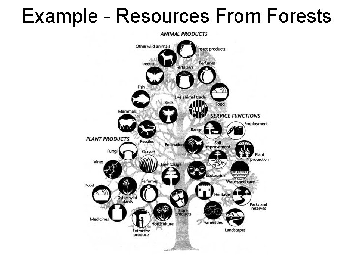 Example - Resources From Forests 