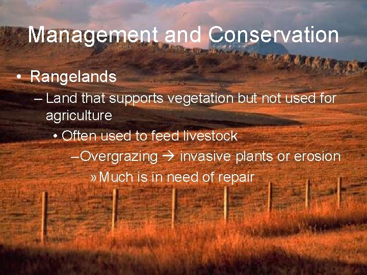 Management and Conservation • Rangelands – Land that supports vegetation but not used for