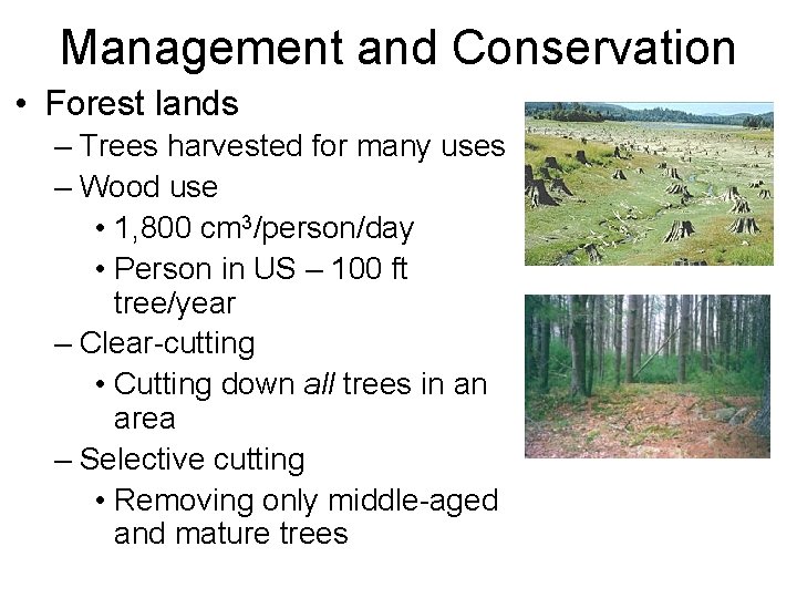 Management and Conservation • Forest lands – Trees harvested for many uses – Wood