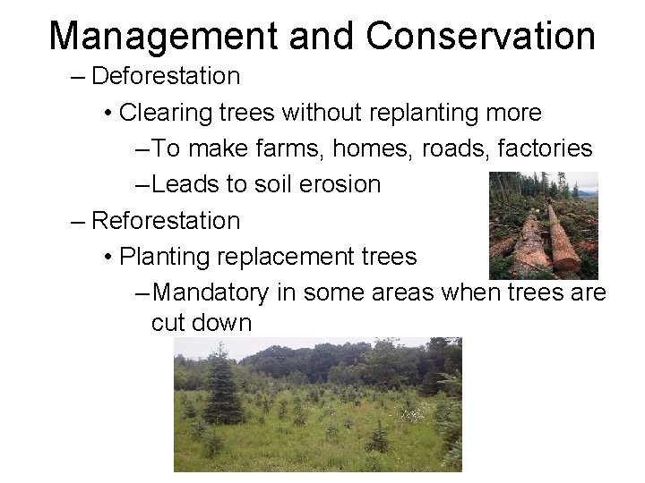 Management and Conservation – Deforestation • Clearing trees without replanting more – To make