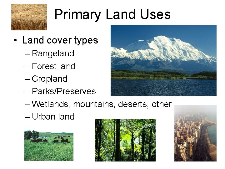 Primary Land Uses • Land cover types – Rangeland – Forest land – Cropland