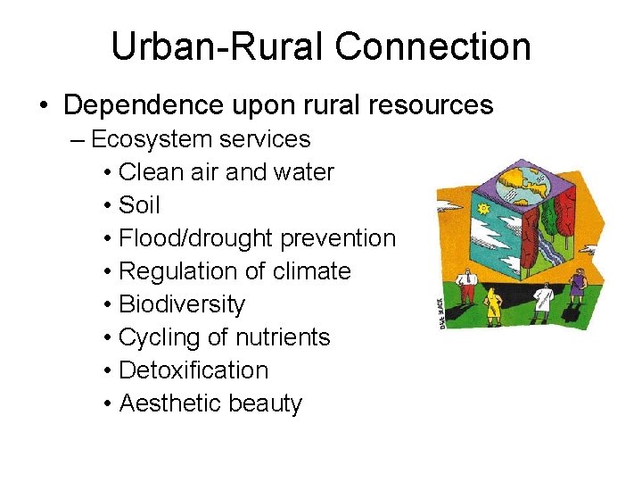 Urban-Rural Connection • Dependence upon rural resources – Ecosystem services • Clean air and