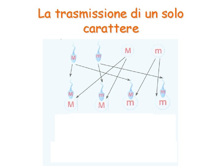 La trasmissione di un solo carattere 