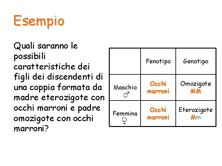 Esempio Quali saranno le possibili caratteristiche dei figli dei discendenti di una coppia formata