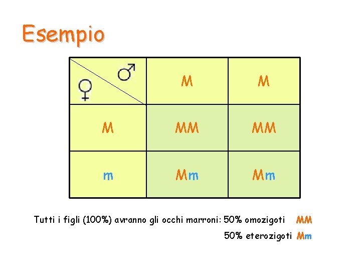 Esempio M MM MM m Mm Mm Tutti i figli (100%) avranno gli occhi