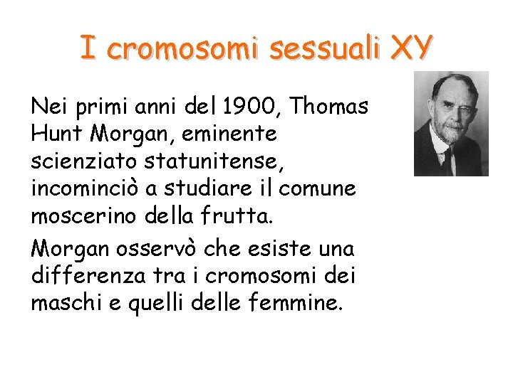I cromosomi sessuali XY Nei primi anni del 1900, Thomas Hunt Morgan, eminente scienziato