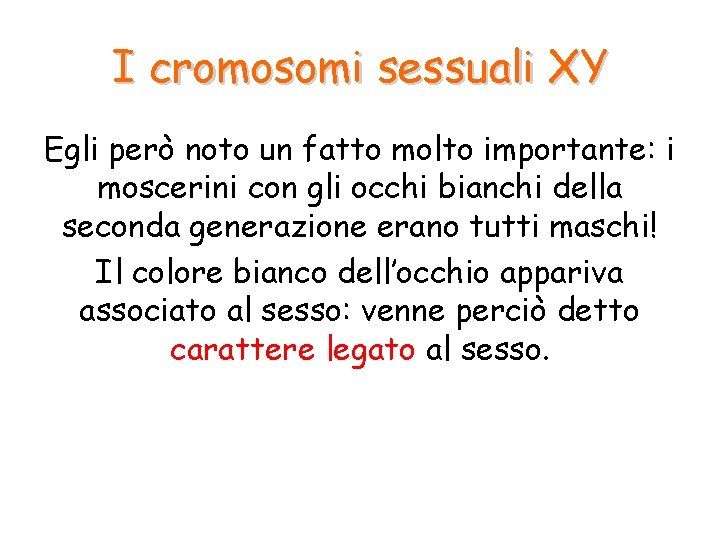 I cromosomi sessuali XY Egli però noto un fatto molto importante: i moscerini con