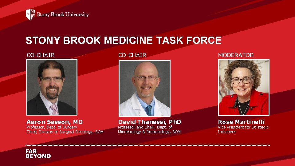 STONY BROOK MEDICINE TASK FORCE CO-CHAIR MODERATOR Aaron Sasson, MD David Thanassi, Ph. D