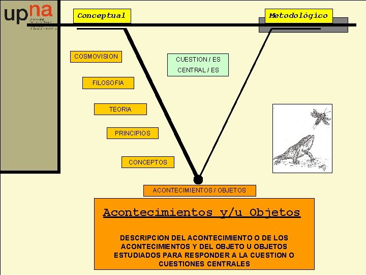 Conceptual Metodológico COSMOVISION CUESTION / ES CENTRAL / ES FILOSOFIA TEORIA PRINCIPIOS CONCEPTOS ACONTECIMIENTOS