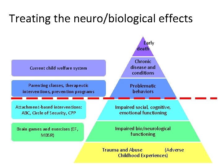 Treating the neuro/biological effects Early death Current child welfare system Chronic disease and conditions