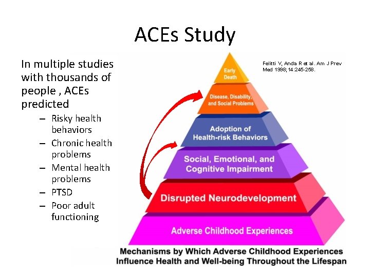 ACEs Study In multiple studies with thousands of people , ACEs predicted – Risky
