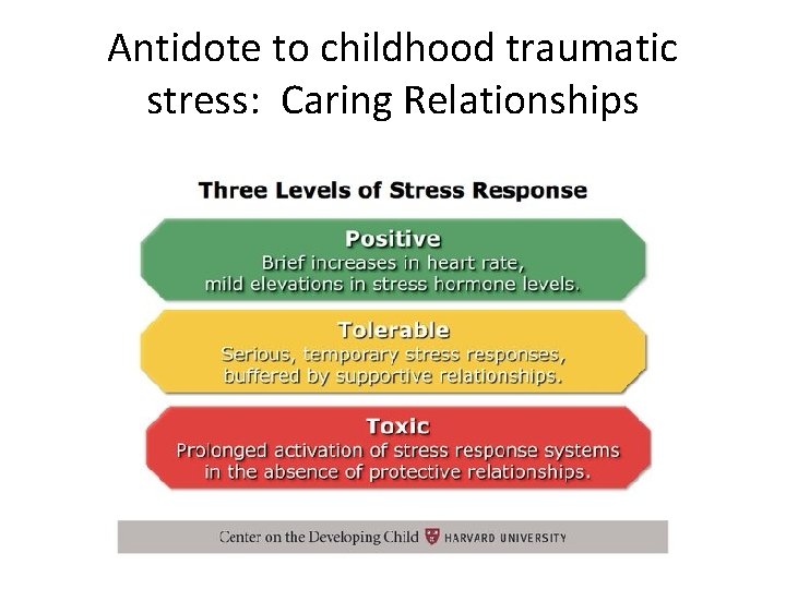 Antidote to childhood traumatic stress: Caring Relationships 