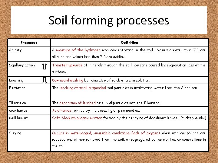 Soil forming processes Processes Acidity Definition A measure of the hydrogen icon concentration in