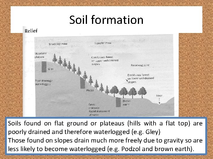 Soil formation Soils found on flat ground or plateaus (hills with a flat top)